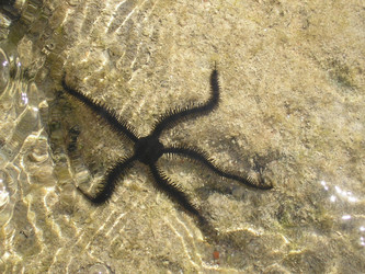 Similar image 485662