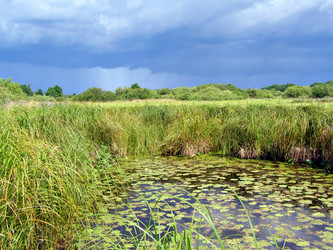 Similar image 485689