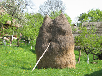 Similar image 485694