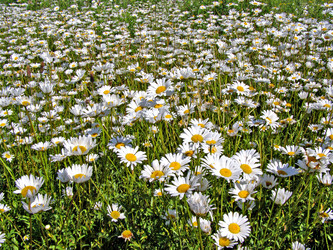 Similar image 485702