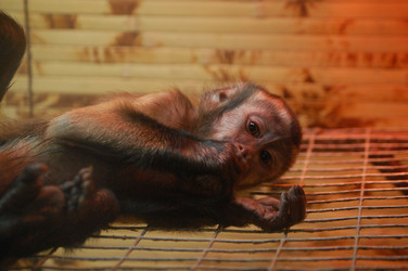 Similar image 485737