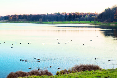 Similar image 485738