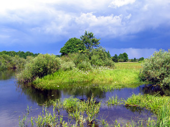 Similar image 485746