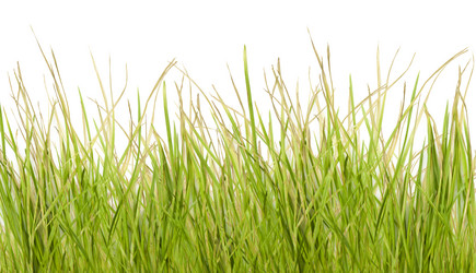 Similar image 485762