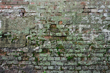 Similar image 485811