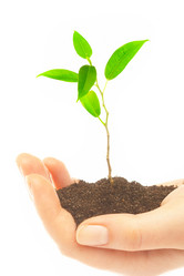 Similar image 485872