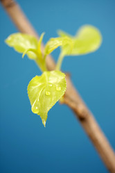 Similar image 485982