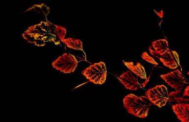 Similar image 486121