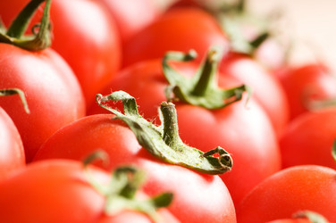 Similar image 486292