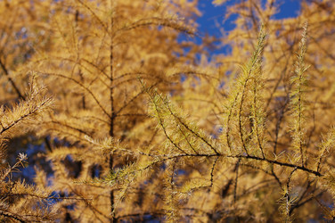 Similar image 486356