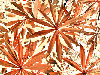 Similar image 486359