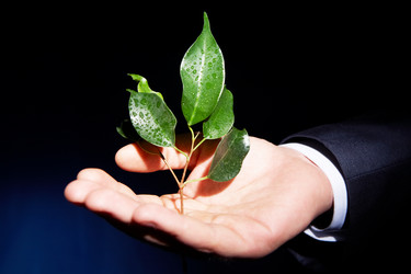 Similar image 486426