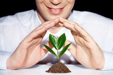 Similar image 486435