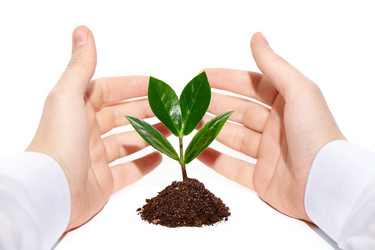 Similar image 486439