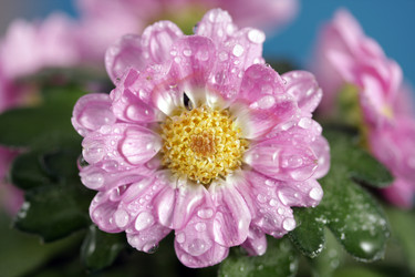 Similar image 486489