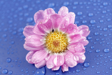 Similar image 486496