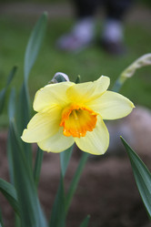 Similar image 486512