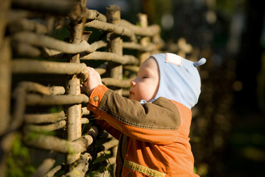 Similar image 486549