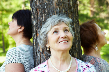 Similar image 486569