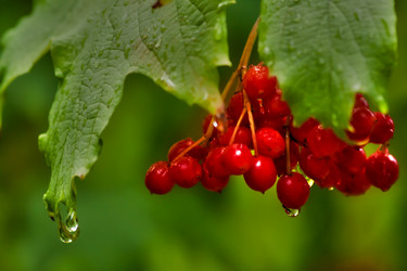 Similar image 486597