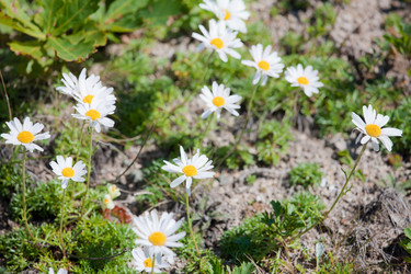 Similar image 486600