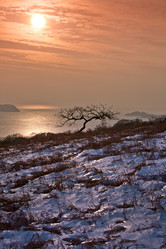 Similar image 486611