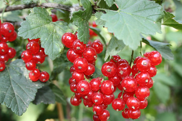 Similar image 486639