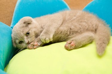 Similar image 486640