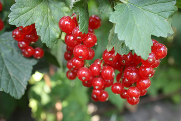 Similar image 486641