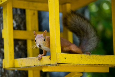 Similar image 486663