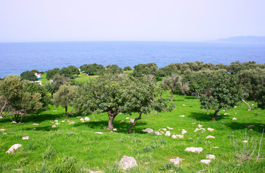 Similar image 486686