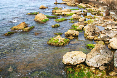 Similar image 486693