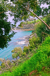 Similar image 486710