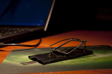 Similar image 486720