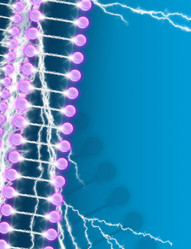 Similar image 486789