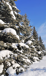 Similar image 486841