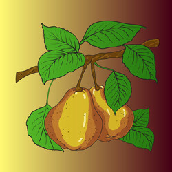 Similar image 486871