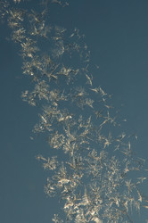 Similar image 487218