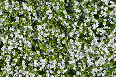 Similar image 487448