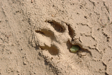 Similar image 487511