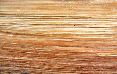 Similar image 487649