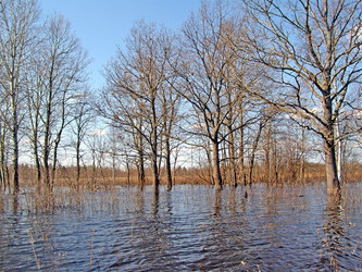 Similar image 487665