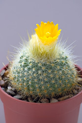 Similar image 487689