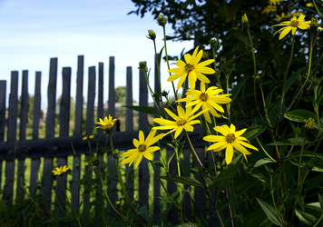 Similar image 487695