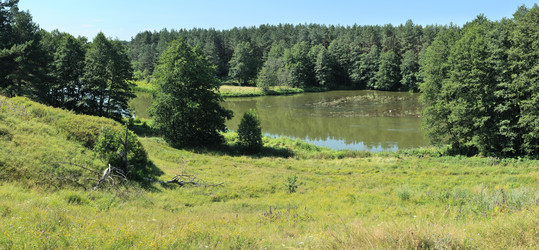 Similar image 487700