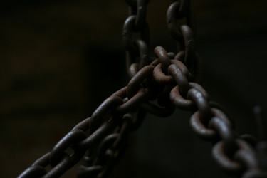 Similar image 487710