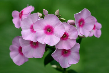 Similar image 487749