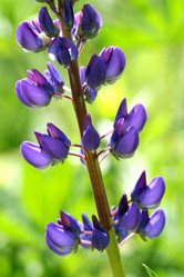 Similar image 487752