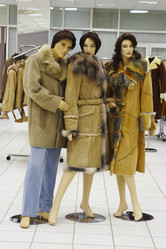 Similar image 487772