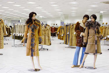 Similar image 487775